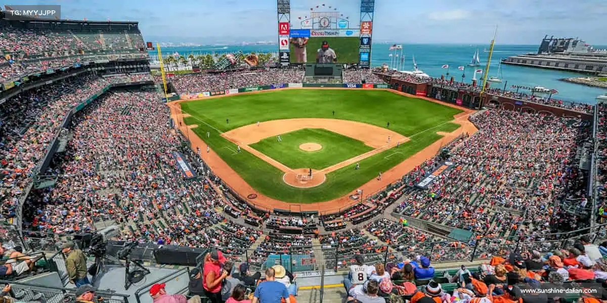 <strong>UED体育</strong>🌈 从热身到冲刺，每一步都有彩虹相伴！